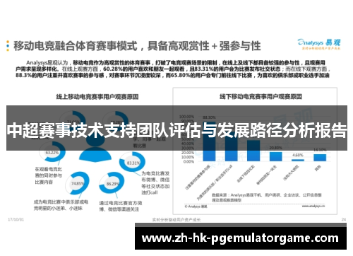 中超赛事技术支持团队评估与发展路径分析报告