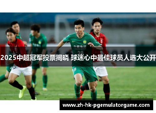 2025中超冠军投票揭晓 球迷心中最佳球员人选大公开
