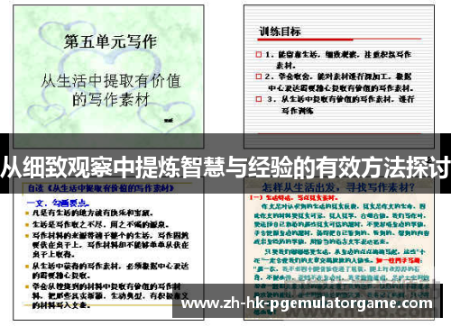 从细致观察中提炼智慧与经验的有效方法探讨