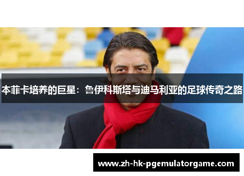 本菲卡培养的巨星：鲁伊科斯塔与迪马利亚的足球传奇之路