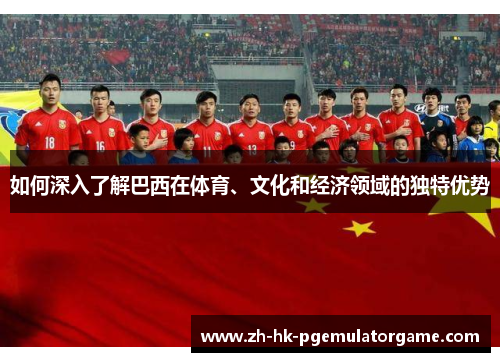 如何深入了解巴西在体育、文化和经济领域的独特优势