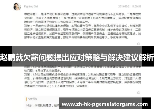 赵鹏就欠薪问题提出应对策略与解决建议解析