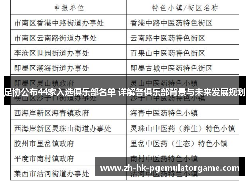 足协公布44家入选俱乐部名单 详解各俱乐部背景与未来发展规划