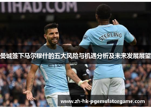 曼城签下马尔穆什的五大风险与机遇分析及未来发展展望